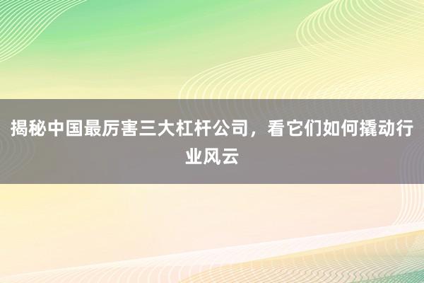 揭秘中国最厉害三大杠杆公司，看它们如何撬动行业风云