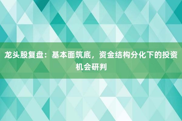龙头股复盘：基本面筑底，资金结构分化下的投资机会研判