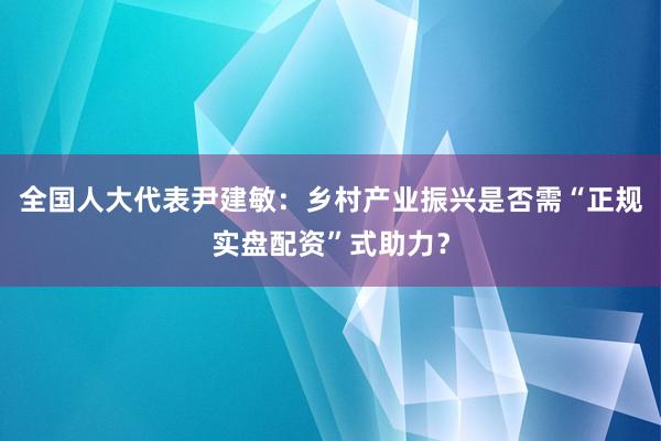 全国人大代表尹建敏：乡村产业振兴是否需“正规实盘配资”式助力？