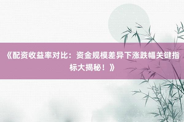 《配资收益率对比：资金规模差异下涨跌幅关键指标大揭秘！》