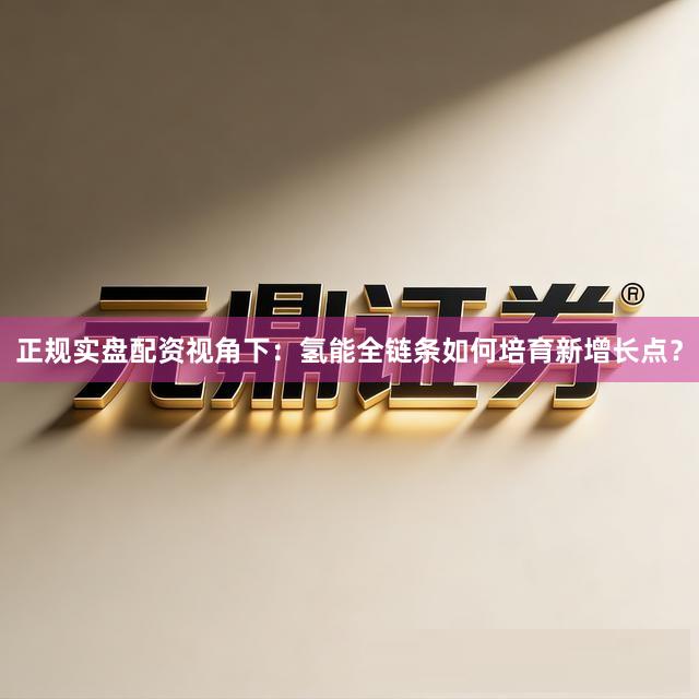 正规实盘配资视角下：氢能全链条如何培育新增长点？