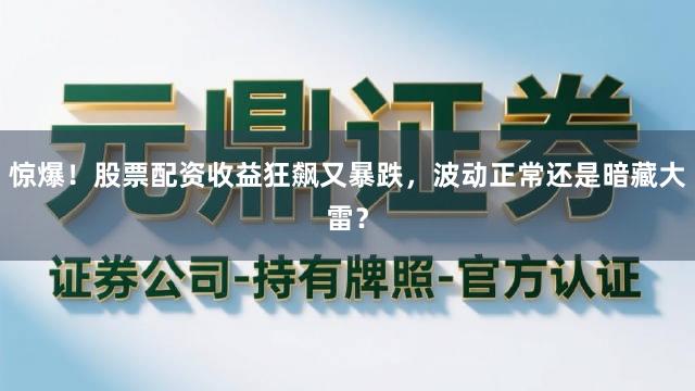 惊爆！股票配资收益狂飙又暴跌，波动正常还是暗藏大雷？
