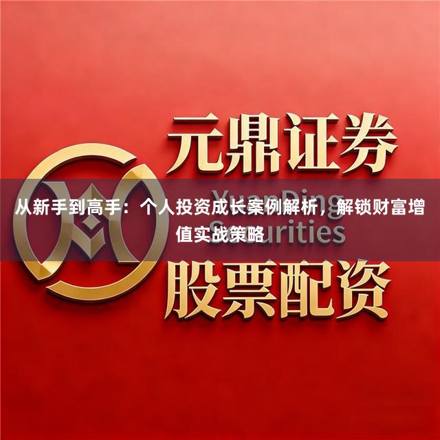 从新手到高手：个人投资成长案例解析，解锁财富增值实战策略