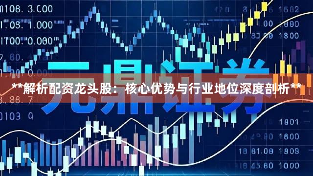 **解析配资龙头股:核心优势与行业地位深度剖析**