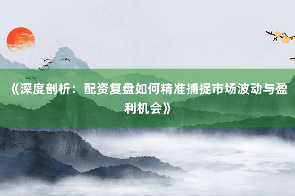 《深度剖析：配资复盘如何精准捕捉市场波动与盈利机会》