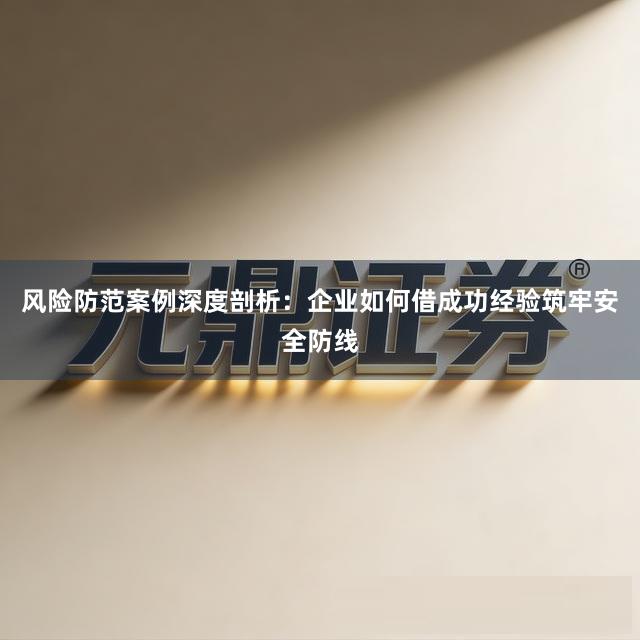 风险防范案例深度剖析：企业如何借成功经验筑牢安全防线