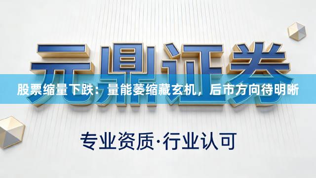 股票缩量下跌：量能萎缩藏玄机，后市方向待明晰