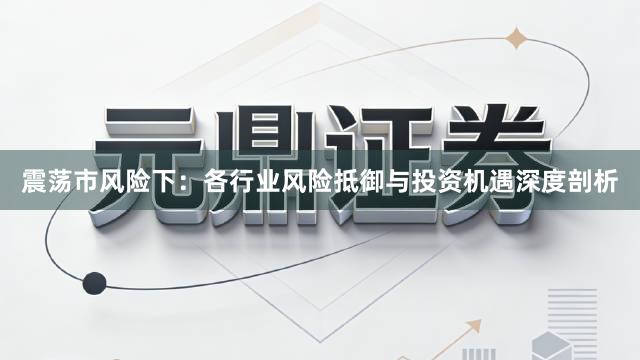 震荡市风险下：各行业风险抵御与投资机遇深度剖析