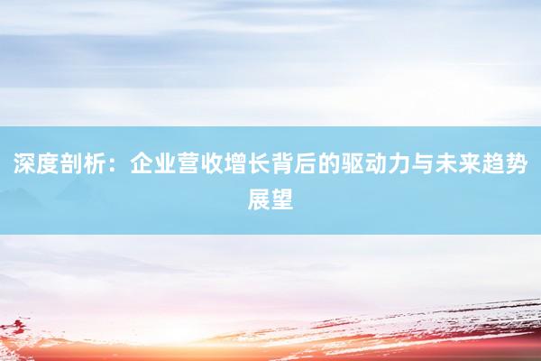 深度剖析：企业营收增长背后的驱动力与未来趋势展望