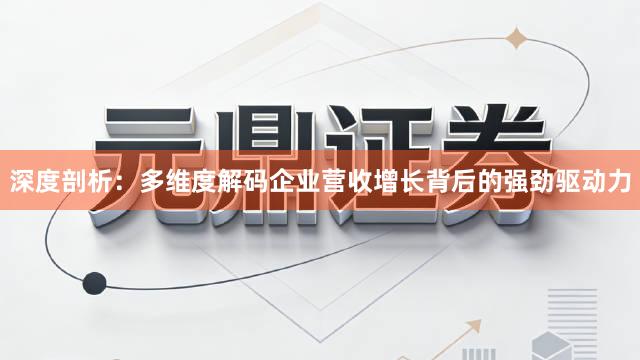 深度剖析：多维度解码企业营收增长背后的强劲驱动力