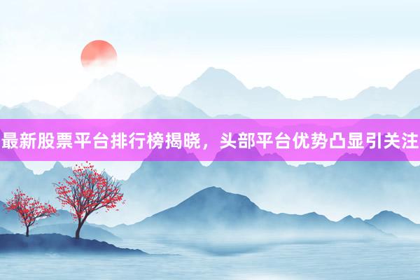 最新股票平台排行榜揭晓，头部平台优势凸显引关注